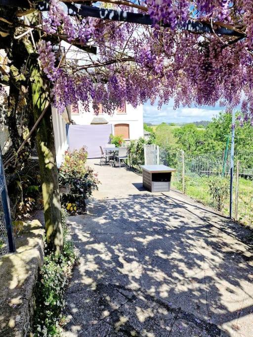 La Colline D'estaing, Maison 4 Pers Avec Terrasse Ferienhaus *